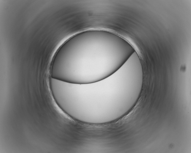 X0000094441100200711291630