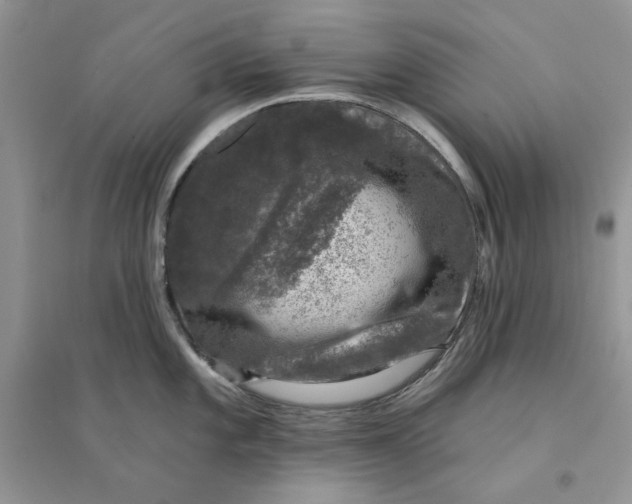 X0000094441101200711291630