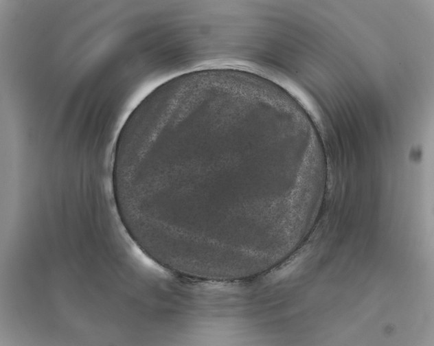 X0000094441102200711291630