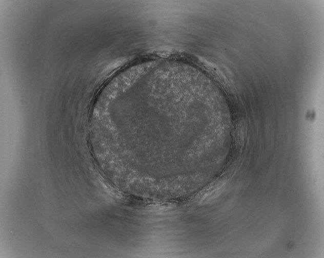 X0000094441105200711291629