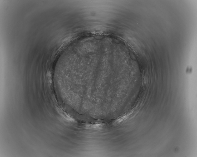 X0000094441106200711291629