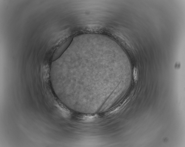 X0000094441107200711291629