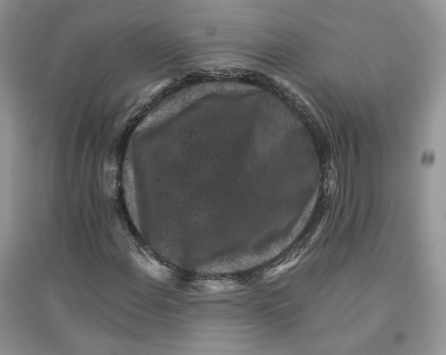 X0000094441108200711291629