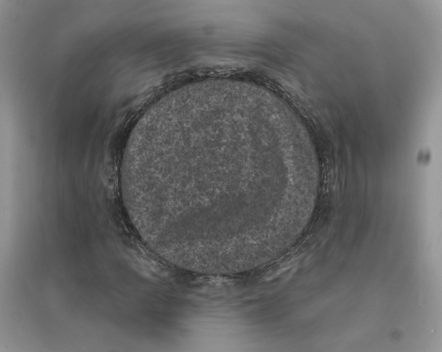 X0000094441109200711291629