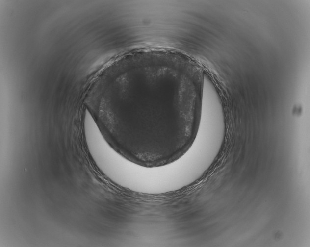 X0000094441110200711291629