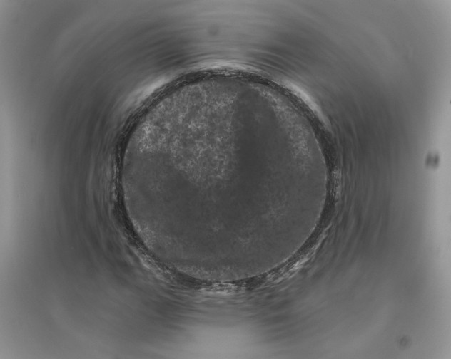 X0000094441111200711291629