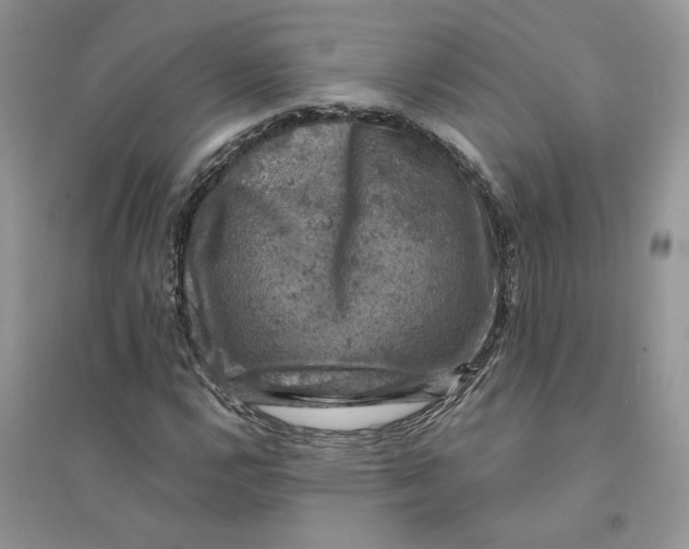 X0000094441112200711291629