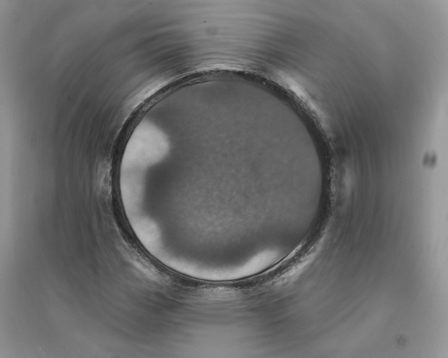 X0000094441113200711291629