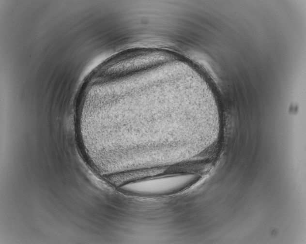 X0000094441114200711291629