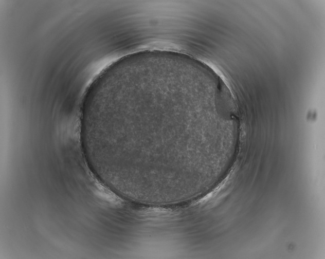 X0000094441115200711291629