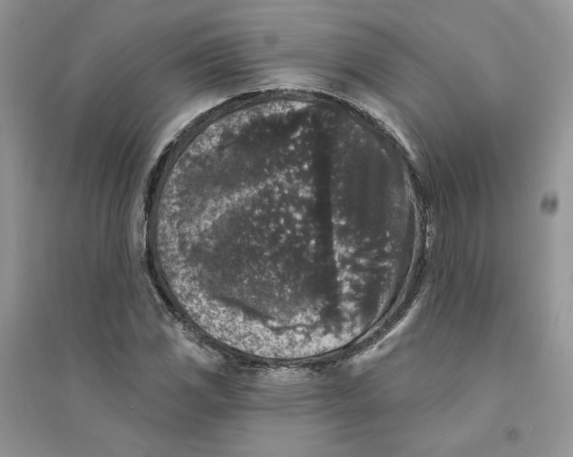 X0000094441117200711291629