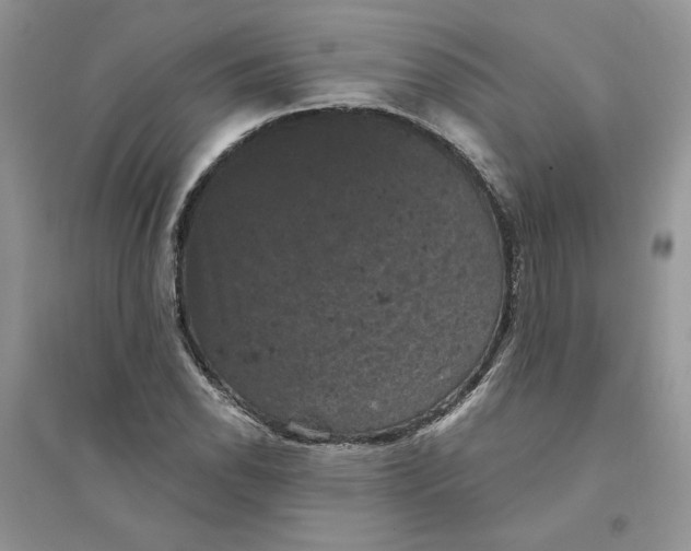 X0000094441118200711291629