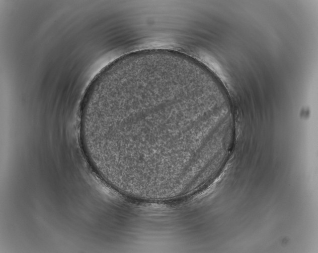 X0000094441119200711291629