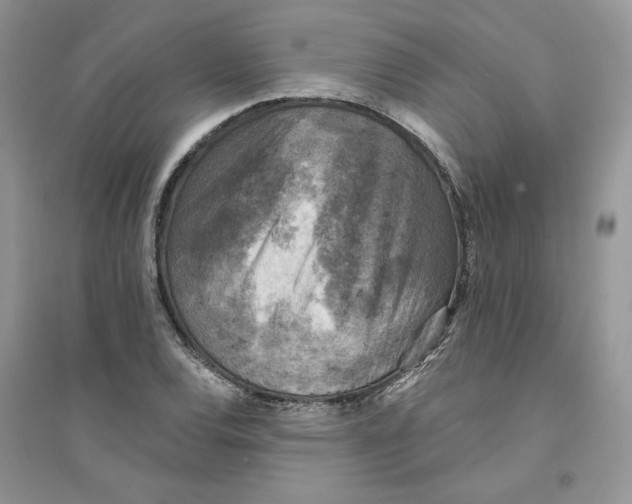 X0000094441120200711291629