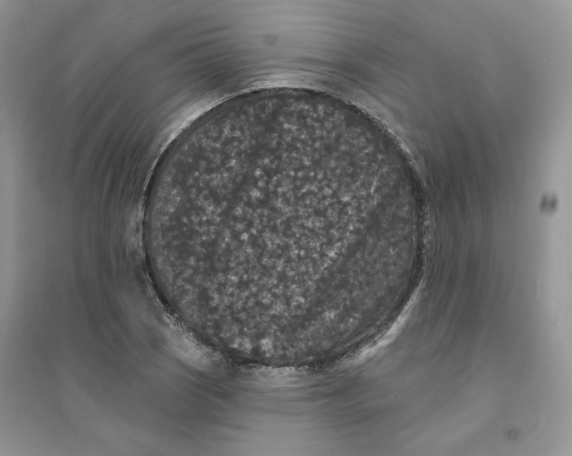 X0000094441121200711291629