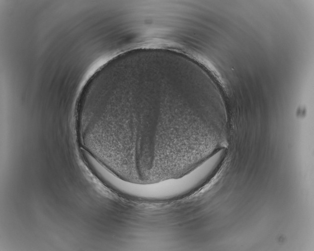 X0000094441122200711291629