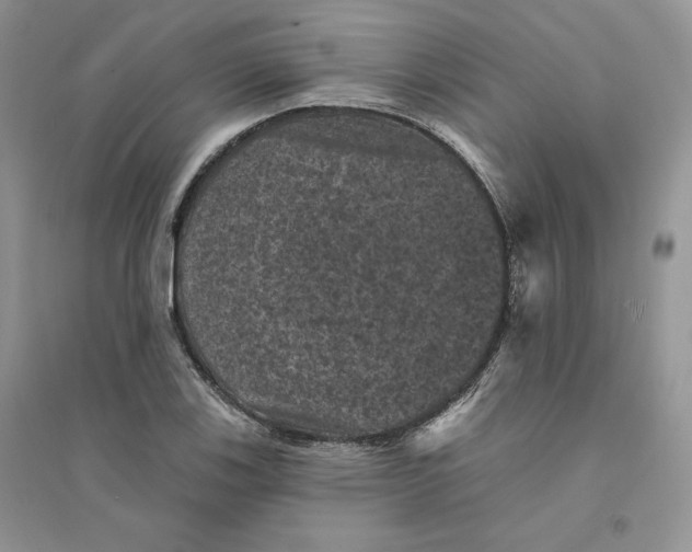 X0000094441123200711291629