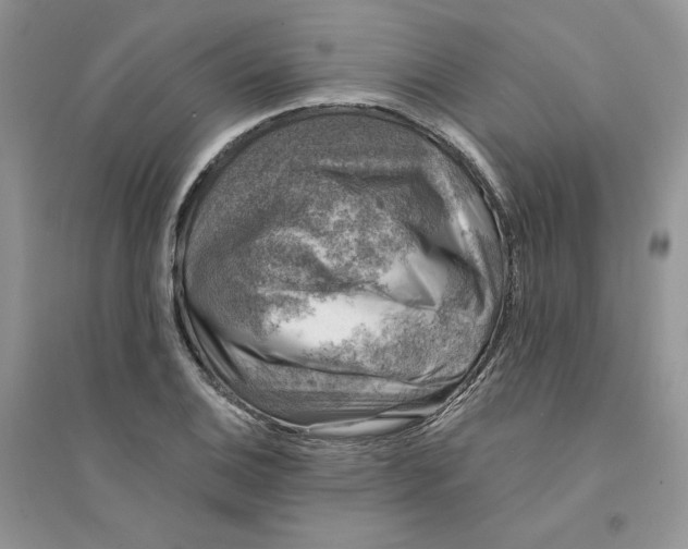 X0000094441124200711291629