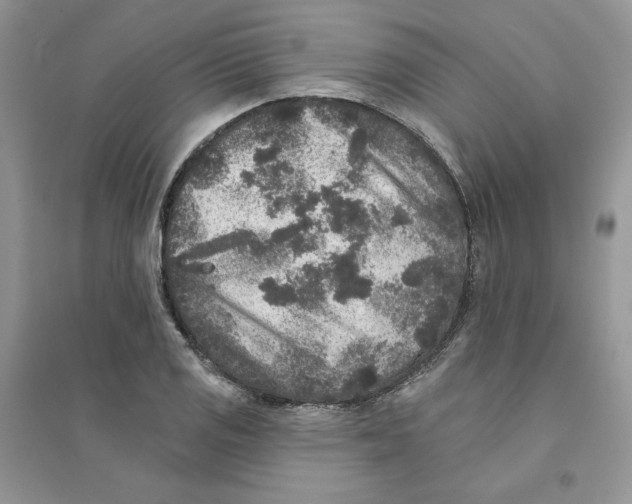 X0000094441125200711291629