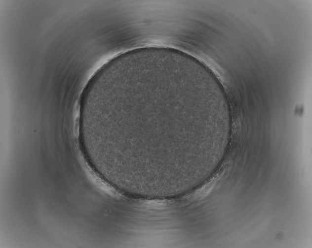 X0000094441126200711291629