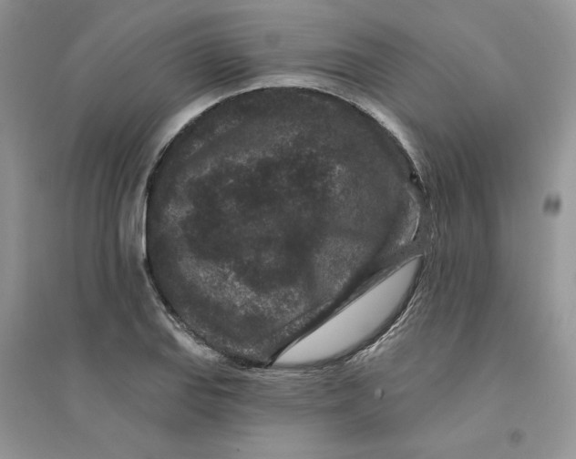 X0000094441127200711291629