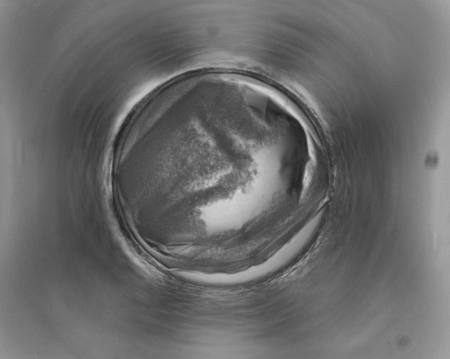 X0000094441128200711291629