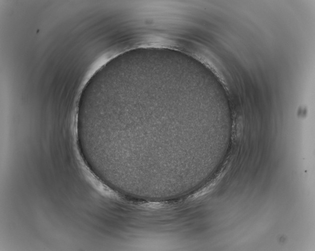 X0000094441130200711291629