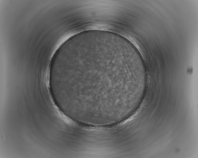 X0000094441131200711291629