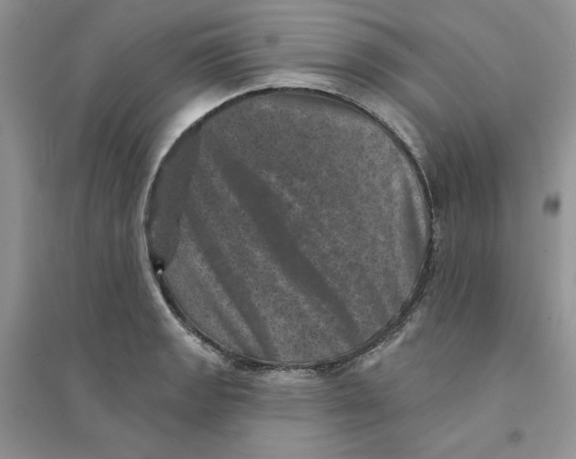 X0000094441133200711291629