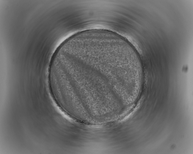 X0000094441134200711291629