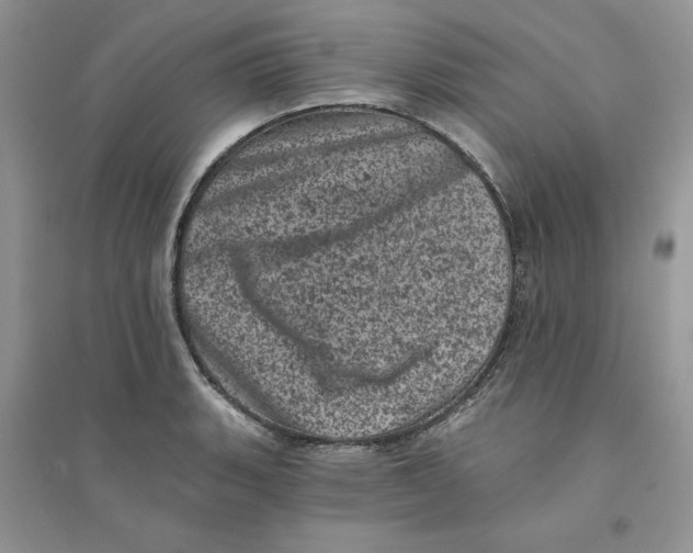 X0000094441135200711291629