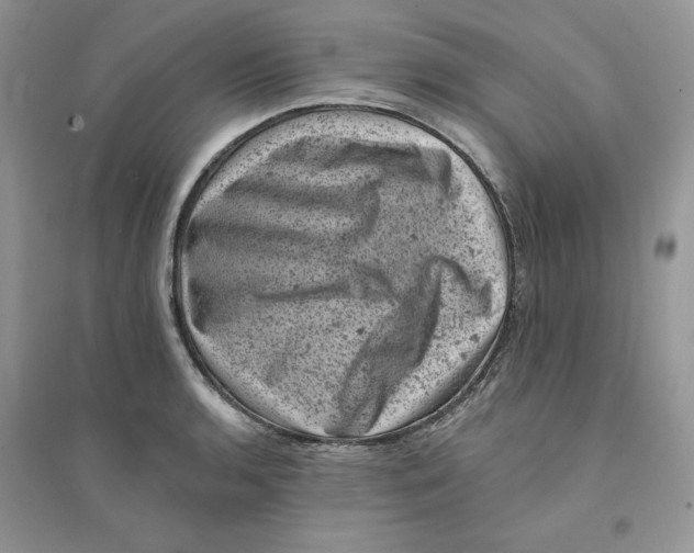 X0000094441136200711291629