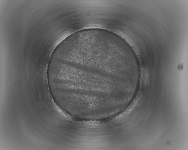 X0000094441137200711291629