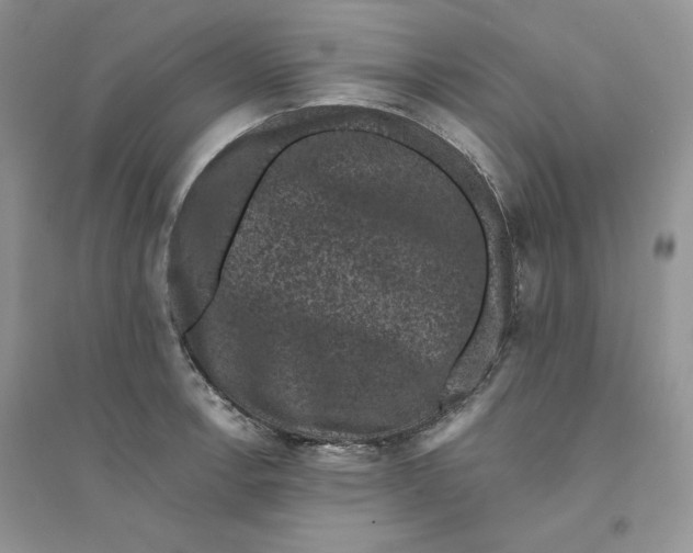 X0000094441138200711291629