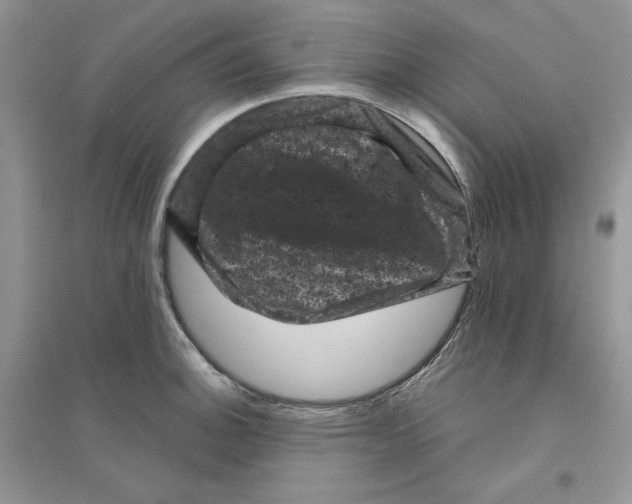 X0000094441140200711291629