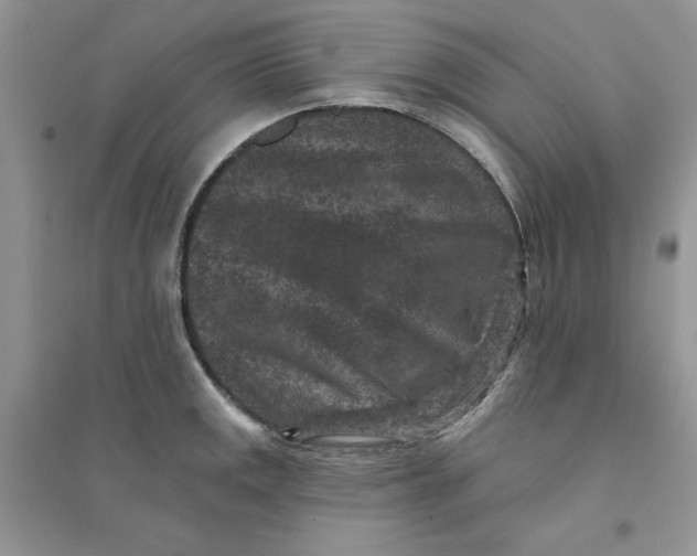 X0000094441141200711291629