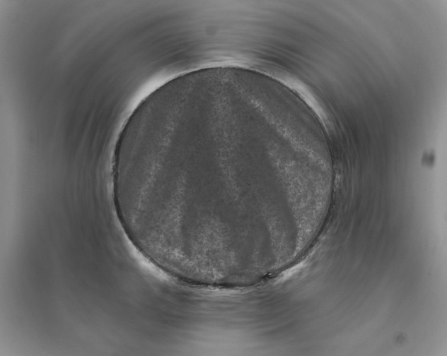 X0000094441143200711291629