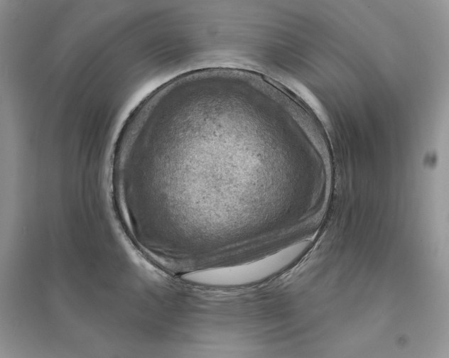 X0000094441144200711291630