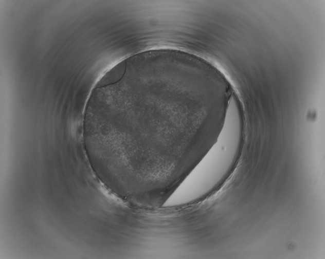 X0000094441145200711291630