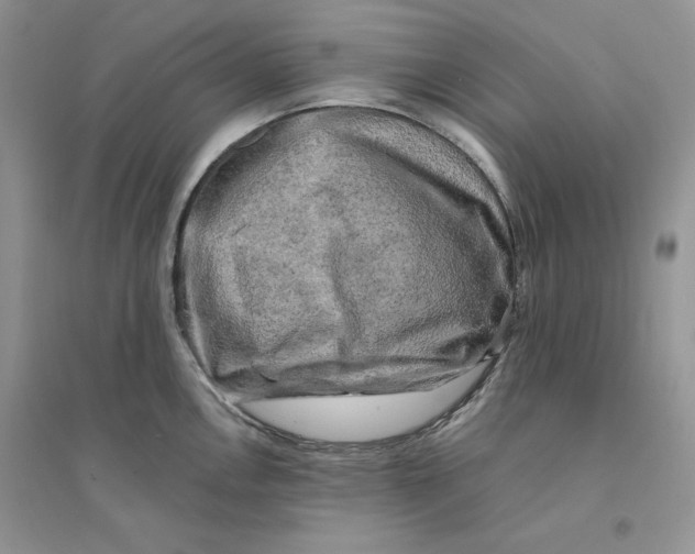 X0000094441146200711291630