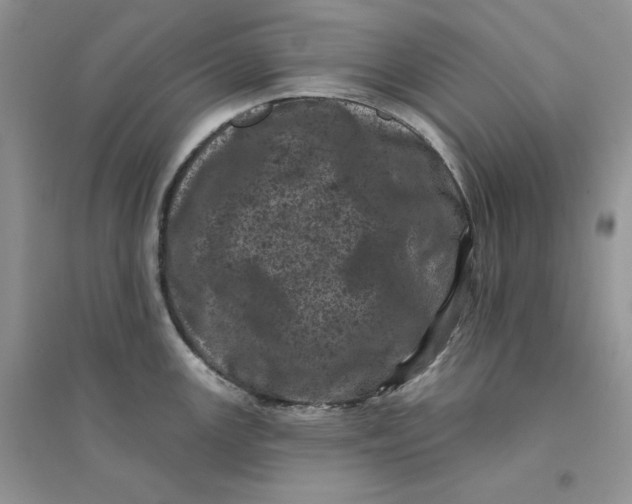 X0000094441147200711291630