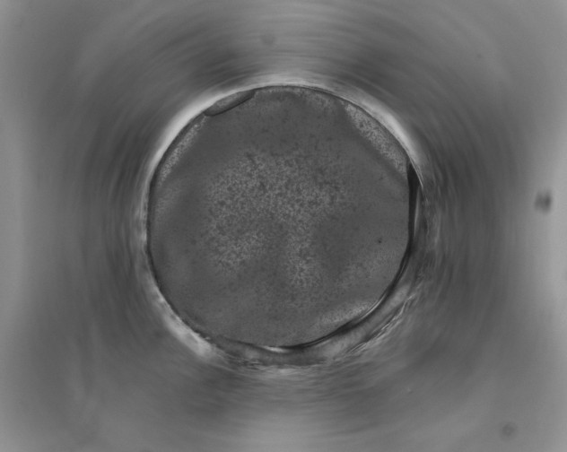 X0000094441148200711291630