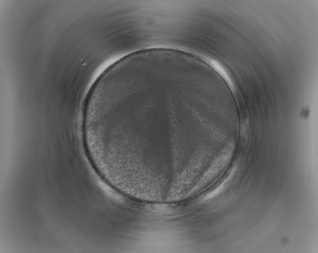 X0000094441149200711291630