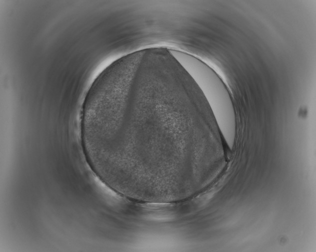 X0000094441151200711291630