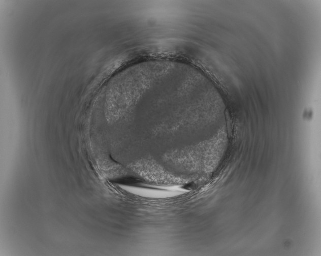 X0000094441153200711291629