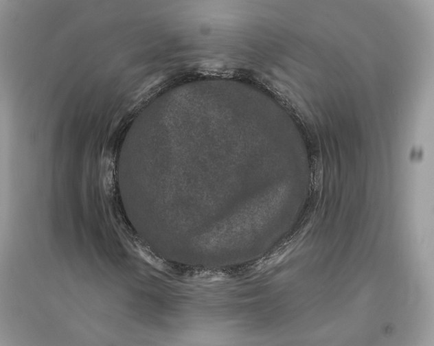 X0000094441154200711291629