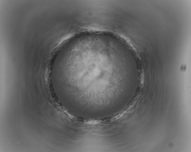 X0000094441157200711291629