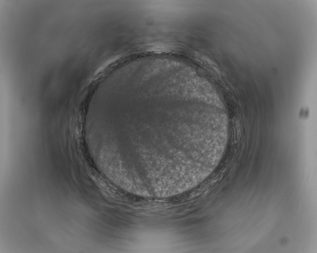 X0000094441158200711291629