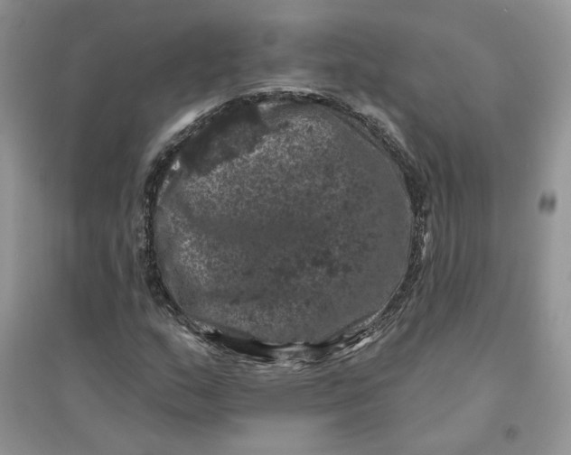 X0000094441159200711291629