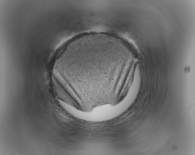 X0000094441160200711291629